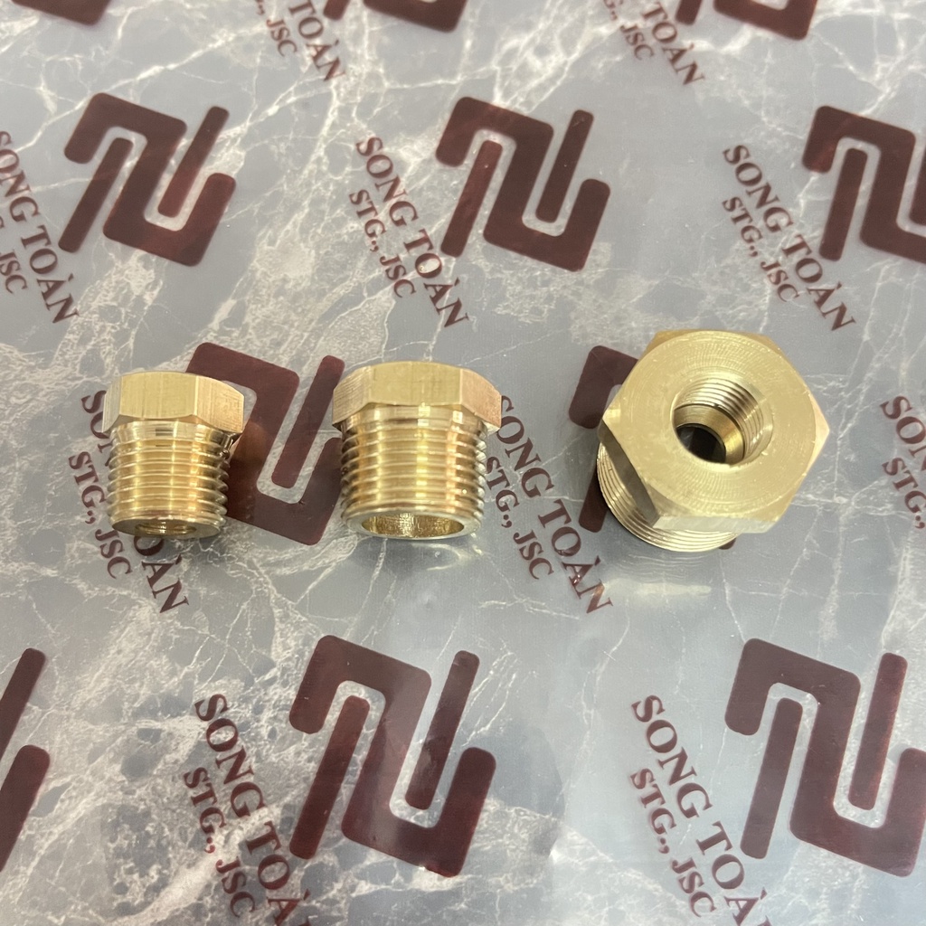 [REN TRONG 11] Ren ngoài BSP hệ G x Ren trong vặn đầu côn lồi - Cả rá Lơ ngược Brass pipere ducer bush male to female