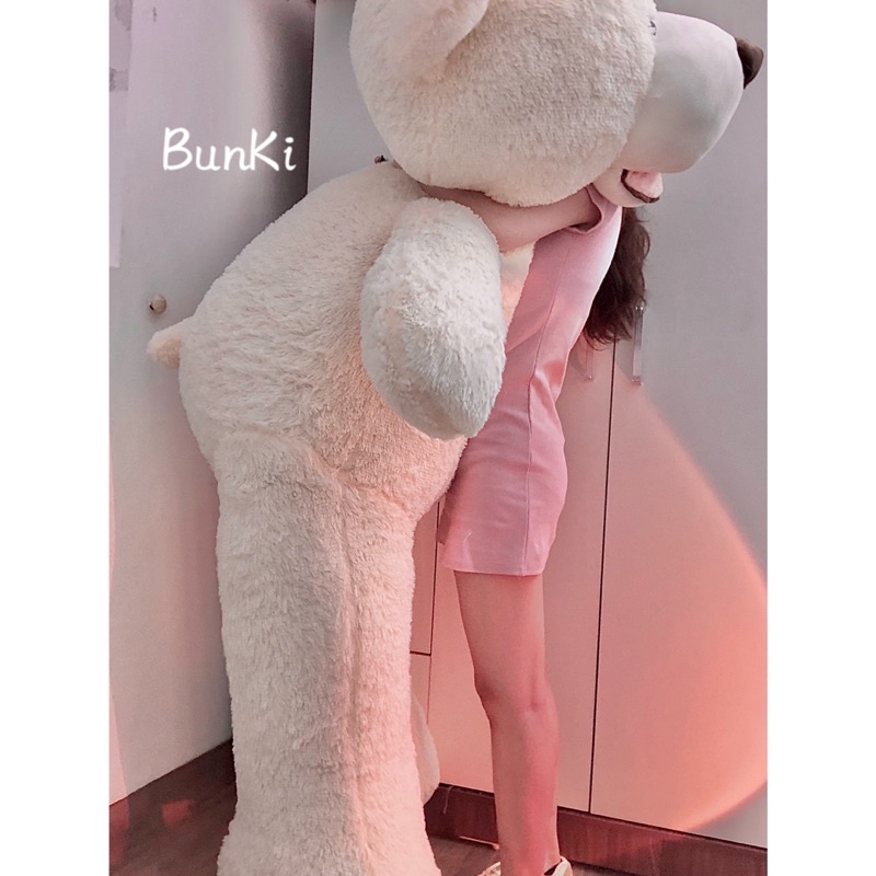 GẤU BÔNG TEDDY TRẮNG BỰ 2M CAO CẤP BUNKI