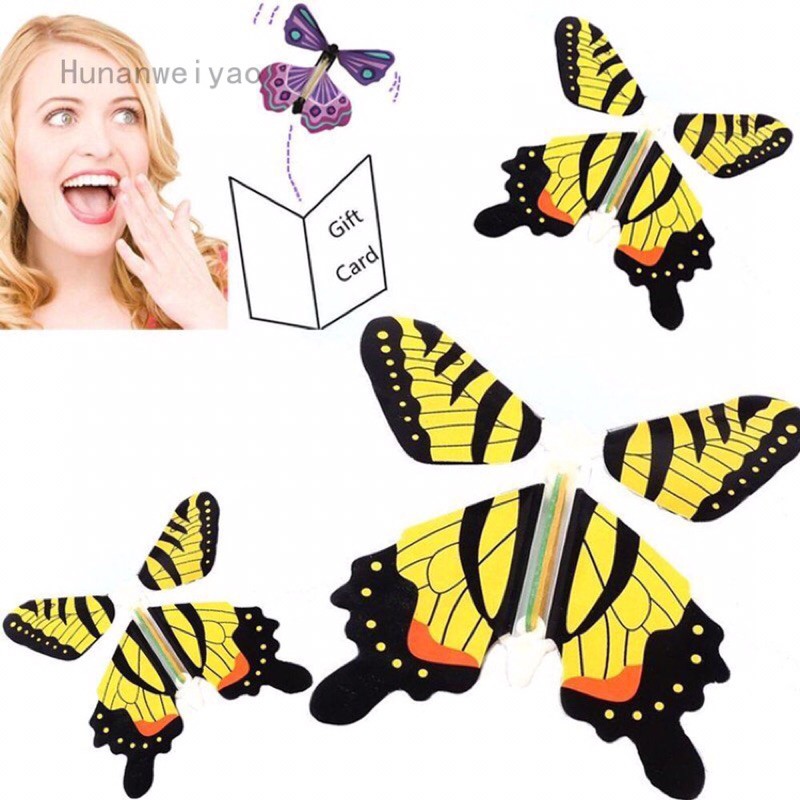 Bướm thần kỳ tuyệt diệu