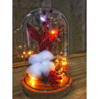 Chụp thuỷ tinh decor kèm đèn led