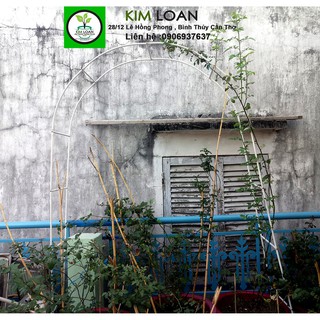 Khung vòm cho cây leo bằng sắt lắp ghép 2.4mx1.4m