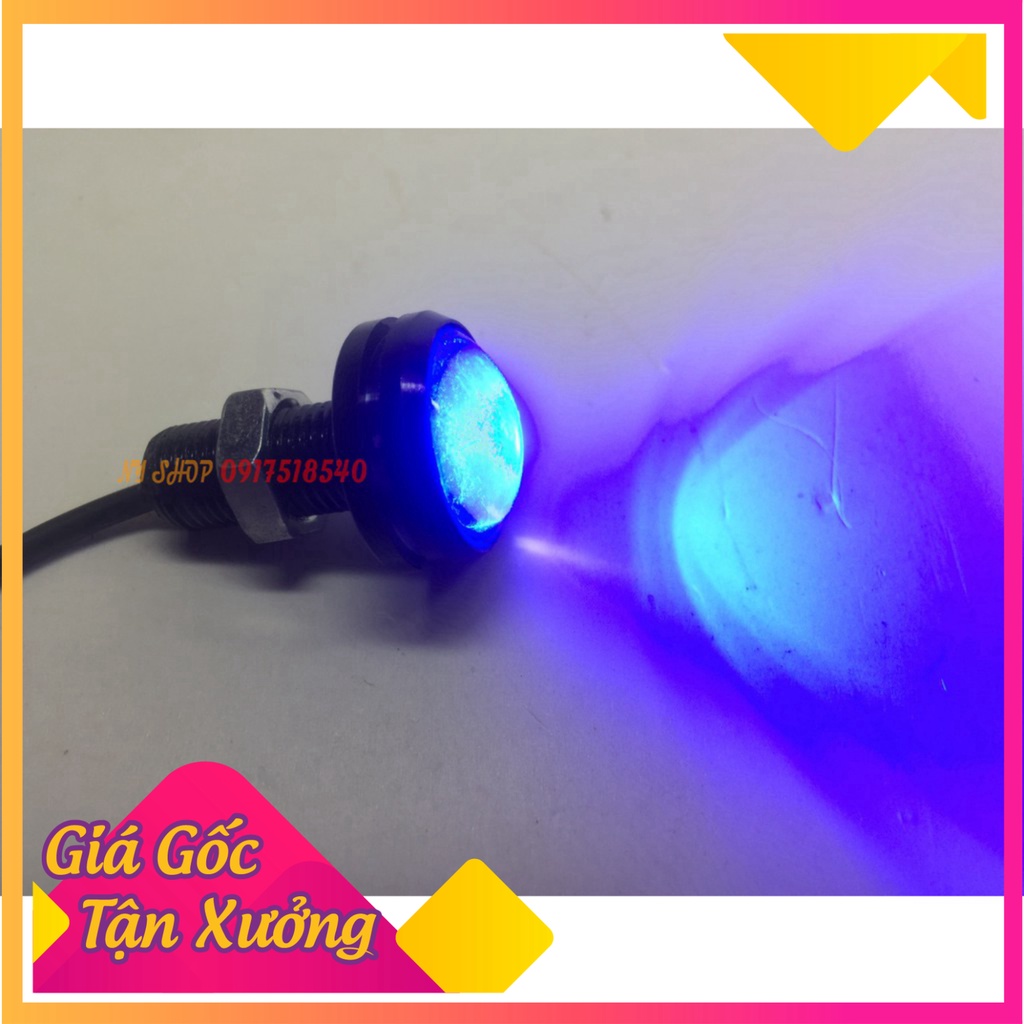 XINHAN HÌNH CÚC ÁO ( GIÁ 1 CẶP) (Ảnh Sp thật)