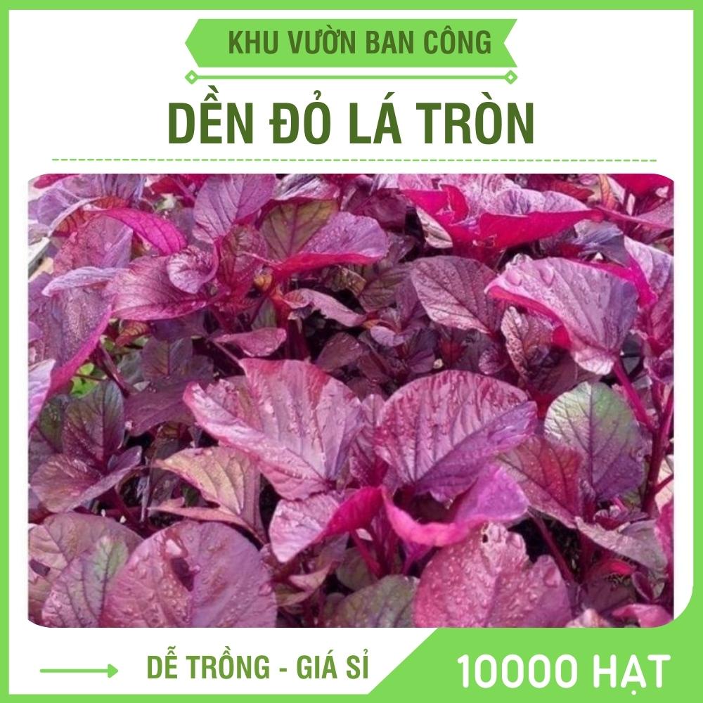 Hạt Giống Rau Dền Đỏ Lá Tròn Gói 20G, Rau Trồng Sân Thượng - Khu Vườn Ban Công