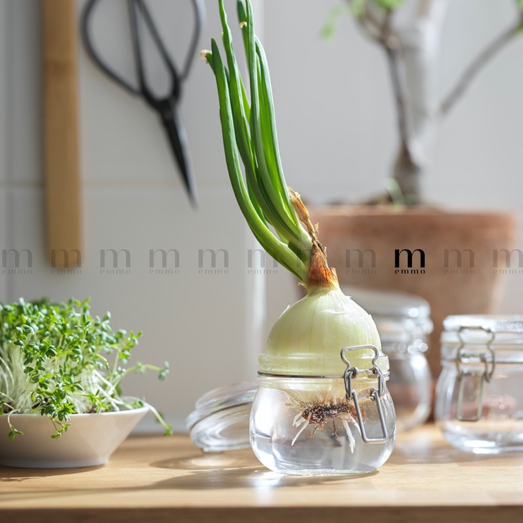 LỌ THỦY TINH CÓ NẮP IKA CHÍNH HÃNG – KORKEN ( SET 3 LỌ)