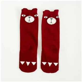 Set 5 đôi vớ dài cotton cho bé