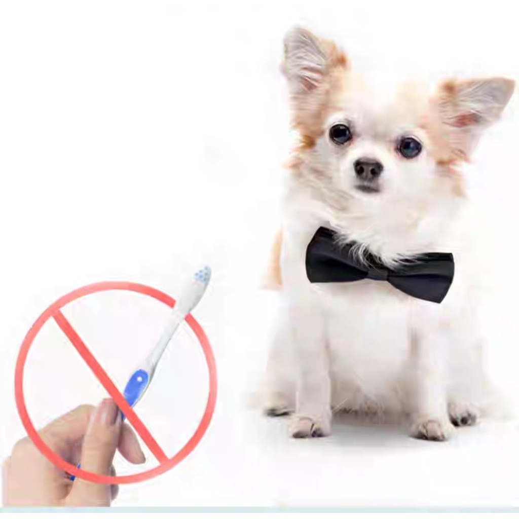 Nước uống thơm miệng chó mèo Bioline  300ml - Nước vệ sinh răng thú cưng