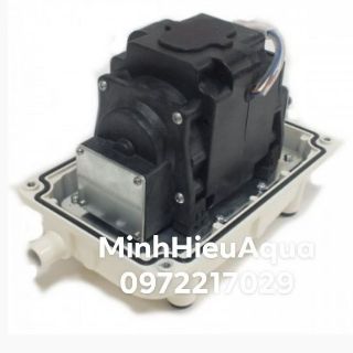 Máy sủi oxy JECOD PA-60