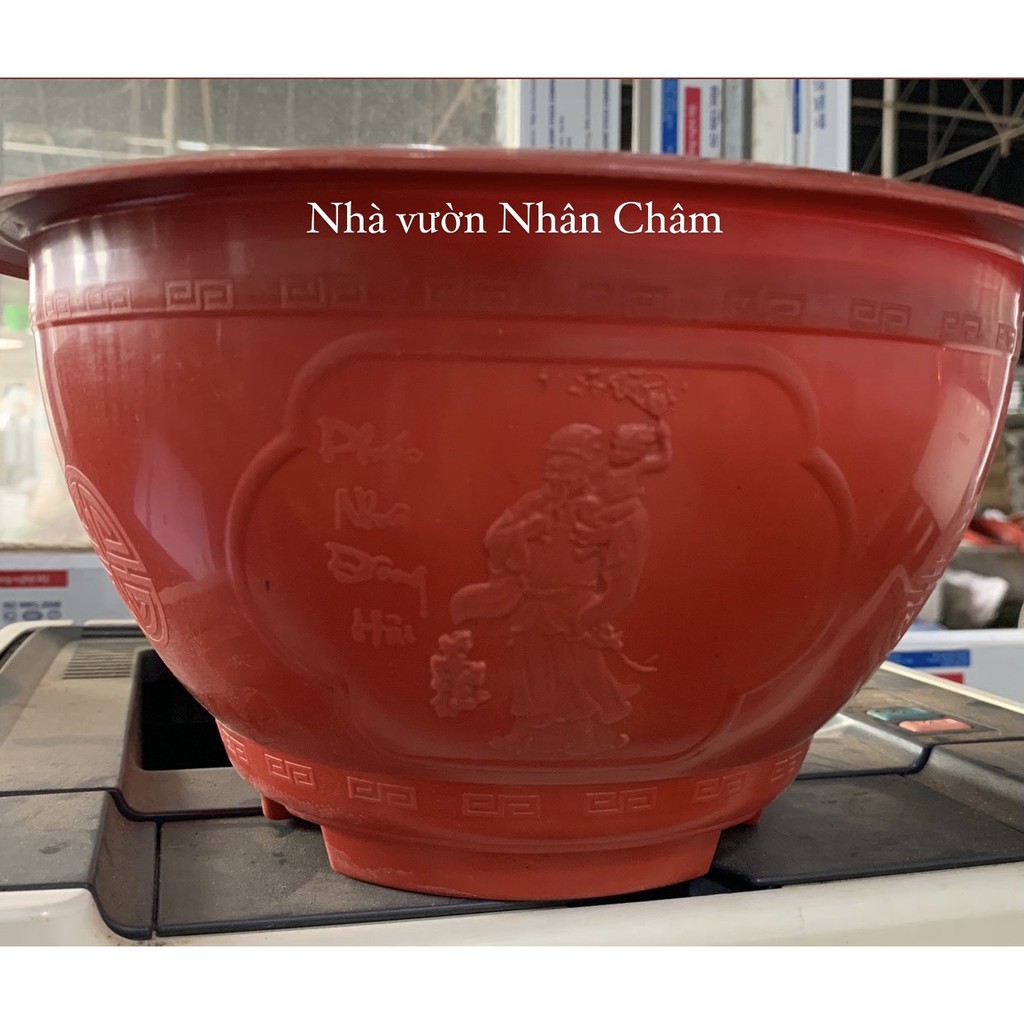 Chậu nhựa tròn T28 đỏ size bé dùng trồng hoa,cây cảnh các loại,trang trí nhà cửa