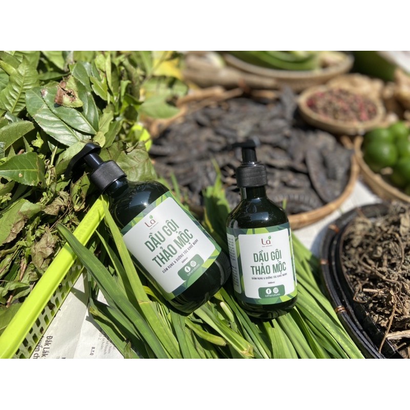 Dầu gội đầu bưởi bồ kết thảo dược thiên nhiên ngăn gàu, rụng tóc, ngứa da đầu, giảm bết tóc. Mọc tóc nhanh dài và khỏe. | BigBuy360 - bigbuy360.vn