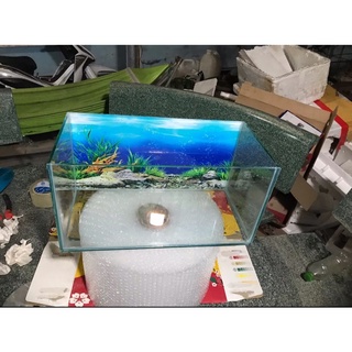 bể cá mini 40x20x20 tranh trang trí