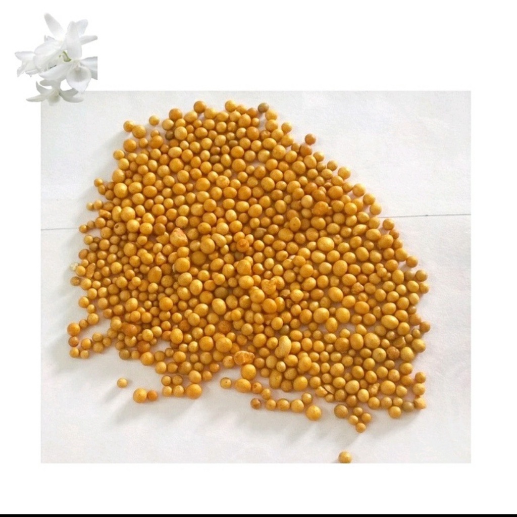 Phân Tan Chậm NPK 14-14-14 chuyên bón cho sen đá, xương rồng và lan - TÚI 5G