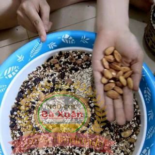 Ngũ cốc lợi sữa 13 loại hạt
