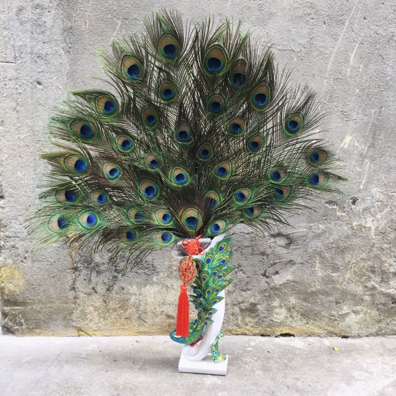 [ HCM ] Lông Công Phong Thuỷ - FREESHIP | BigBuy360 - bigbuy360.vn