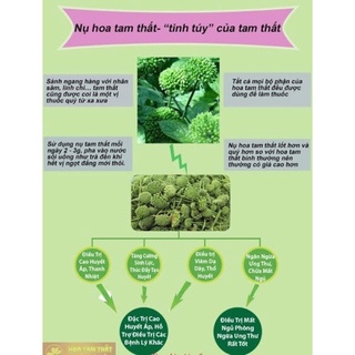 100g nụ tam thất có cuống