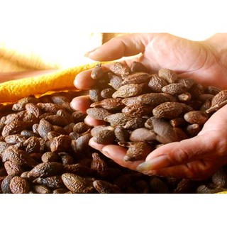 TRÁI ƯƠI BAY bịch 500gr
