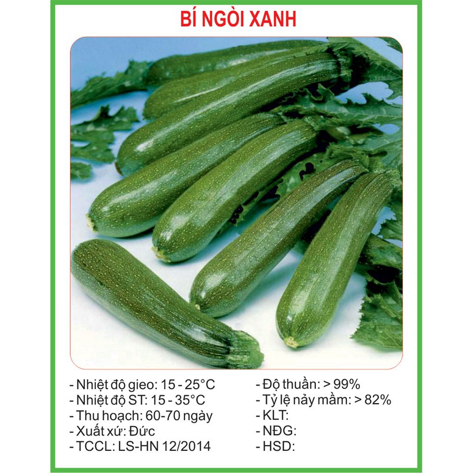 Hạt Giống Bí ngòi xanh 10 Hạt (golden seed)