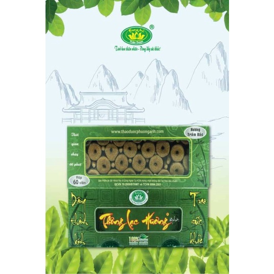Nhang nụ Trầm bắc: THÔNG LẠC HƯƠNG - Hộp 60 viên - Nhang Sạch Hương Trầm Bắc, Hương Quế