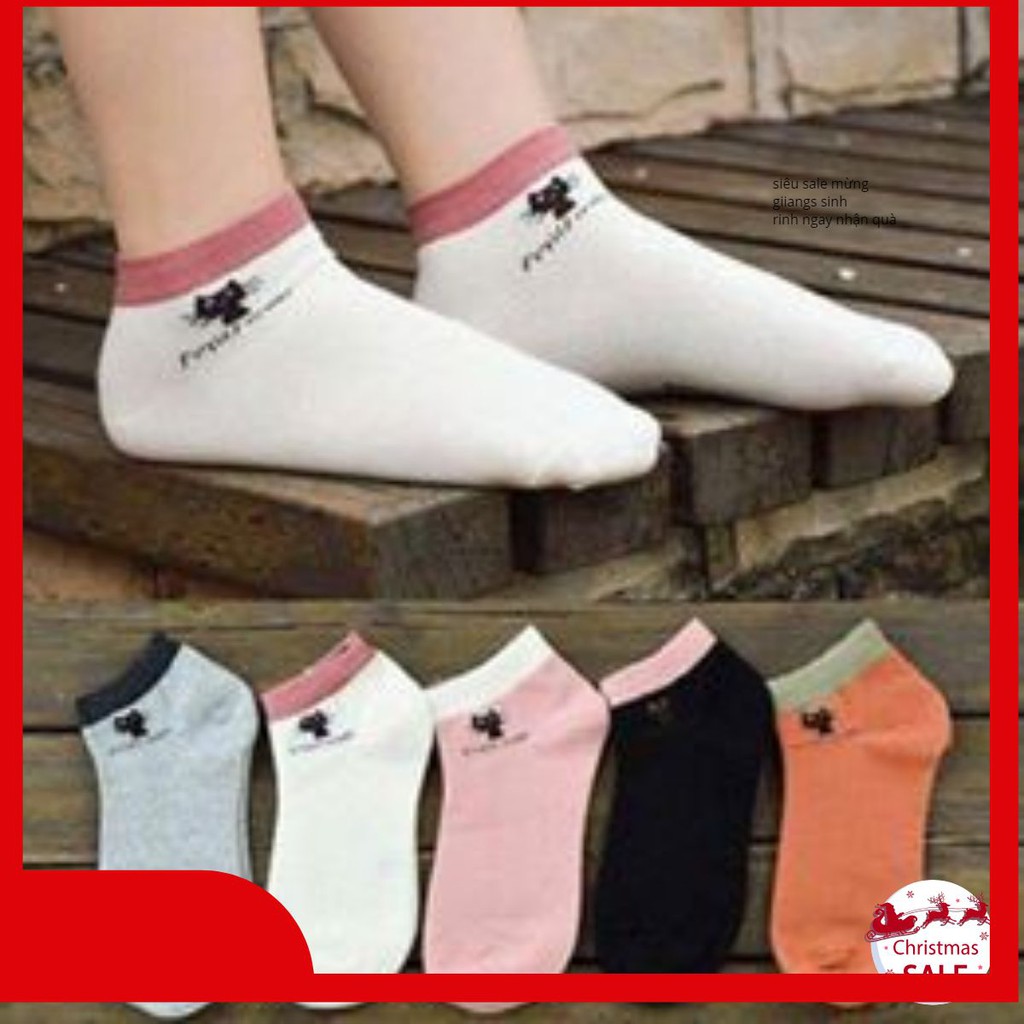 Set 10 đôi tất mèo nữ cổ ngắn