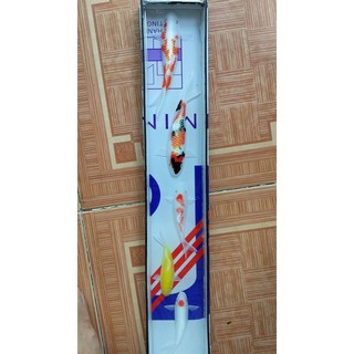 phôi cá 3d