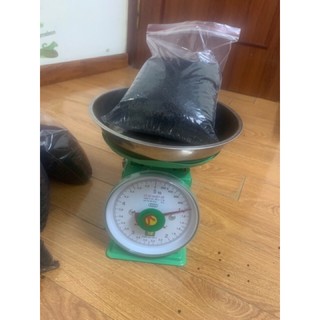Phân Nền Gex Xanh Nhật Bản Cho Bể Cá Cảnh