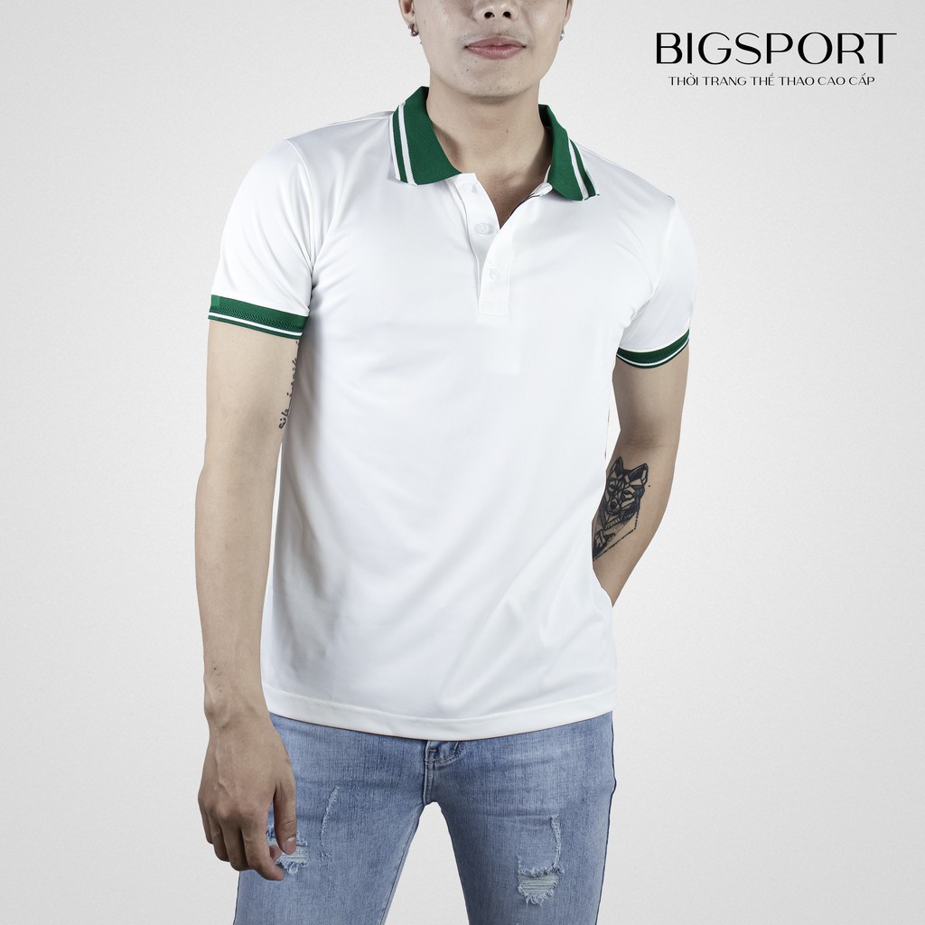 Áo Phông Có Cổ Sang Trọng Áo Polo Nam Cổ Bẻ Vải Poly Cá Sấu Cao Cấp Trẻ Trung Thanh Lịch Big Sport, BS31