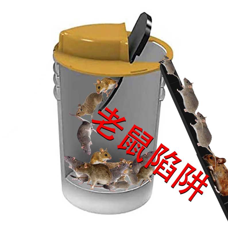 2021 Hầu Hết Bẫy Chuột Ở Nước Ngoài Tự Động Đặt Lại Bẫy Chuột Ghép Hình Chuột Miếng Dán Chuột Bẫy Chuột Bẫy Chuột Trong Nhà Bẫy Chuột Ngoài Trời Bẫy Chuột Mèo