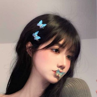 Kẹp bướm nhiều màu