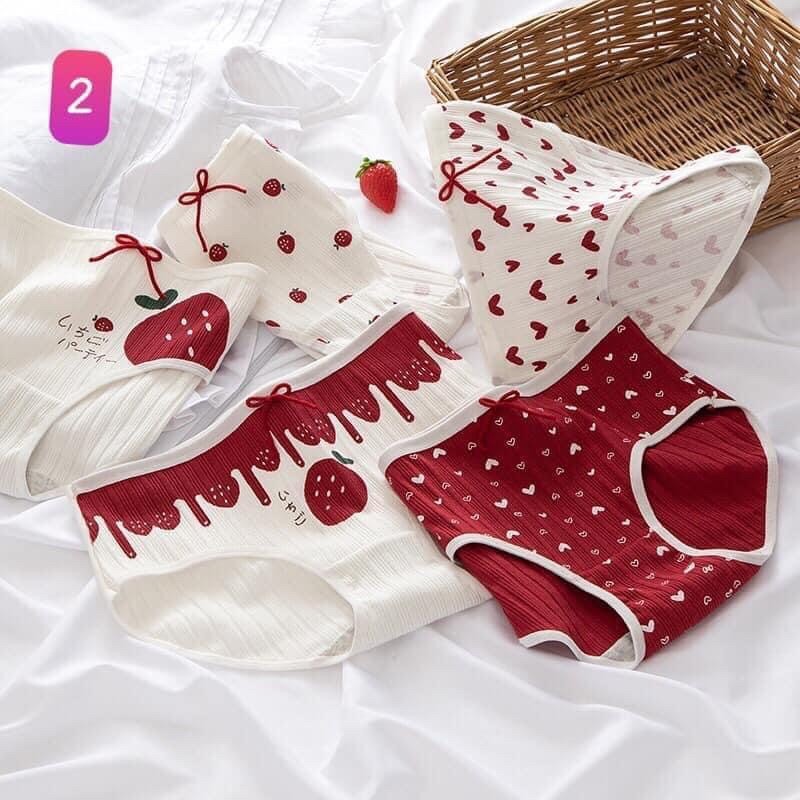 set quần chip cute | BigBuy360 - bigbuy360.vn