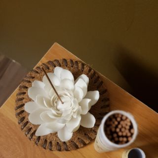 Hoa sen đốt trầm