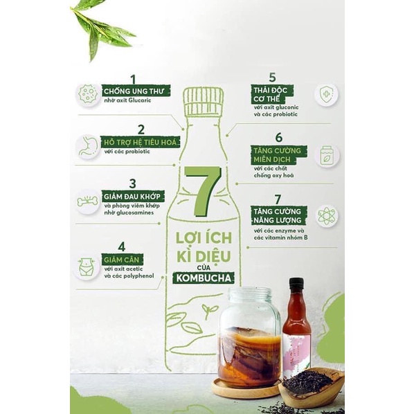 Trà Bất Tử Chill Kombucha TÁO 1L -  Trà hoa quả lên men con giống scoby - Foodland