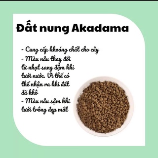 [100gr] Đá Akadama trồng bonsai, sen đá, thủy sinh