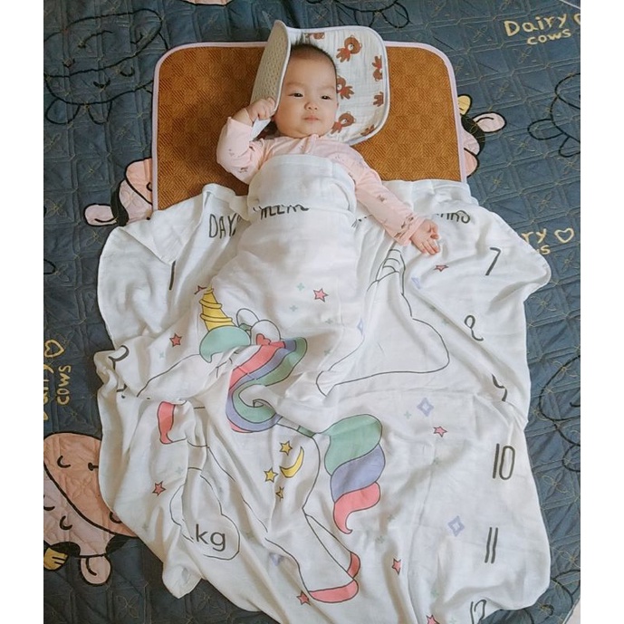chiếu lục bình loại 1