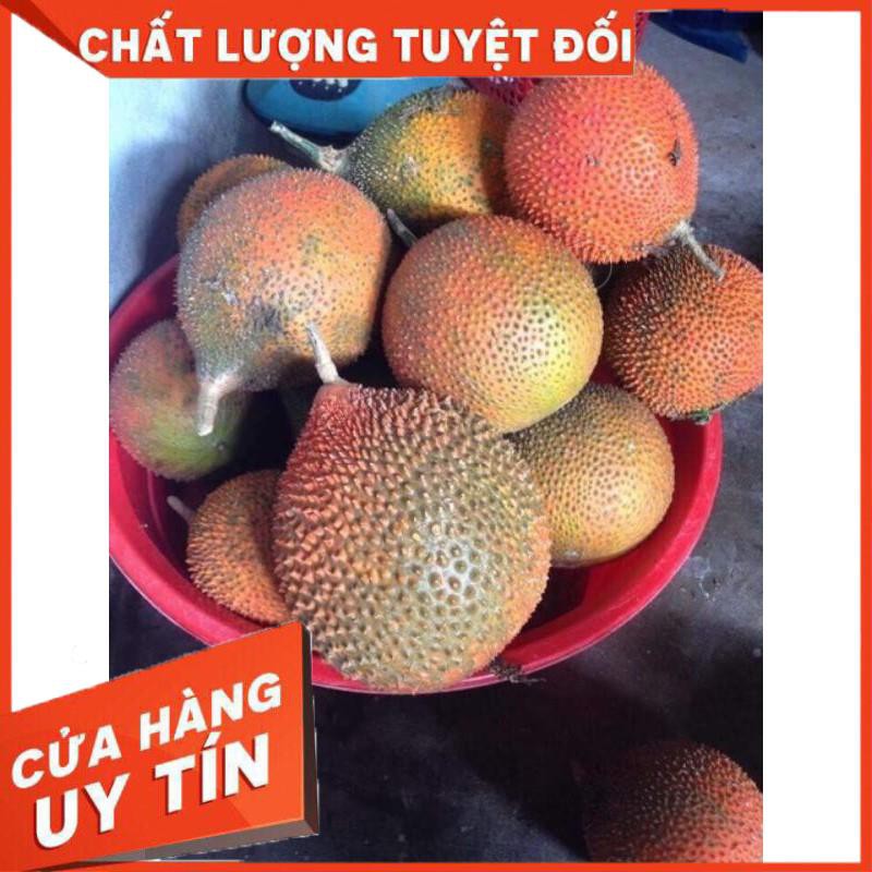 Dầu gấc nguyên chất 100%