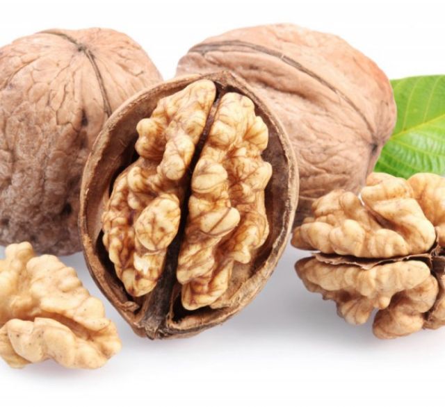 Combo 1kg óc chó tặng kìm | BigBuy360 - bigbuy360.vn