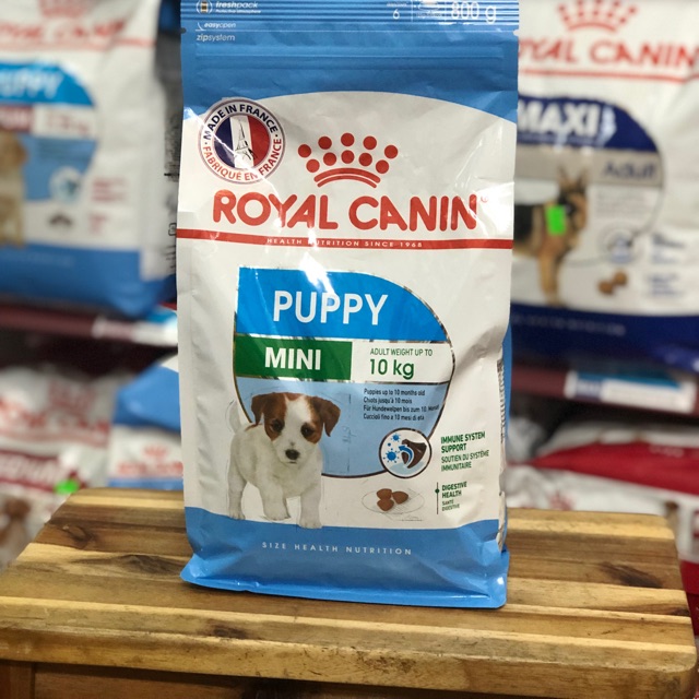 Rcanin Mini puppy 2kg