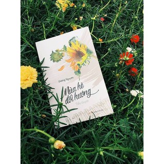 Mùa Hè Đổi Hướng