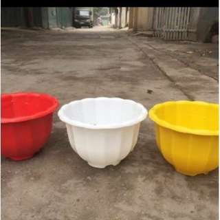 Chậu treo cây hình quả bí