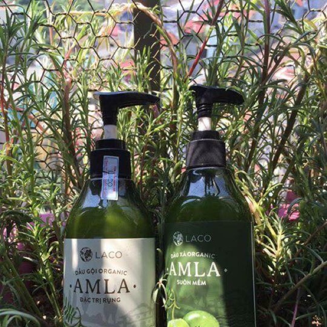 Bộ dầu gội AMLA