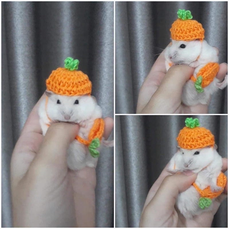 Nón mũ hamster cà rốt