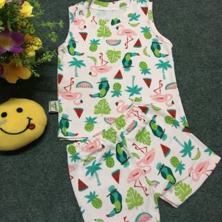 Combo 5 set đồ cho bé trai&gái