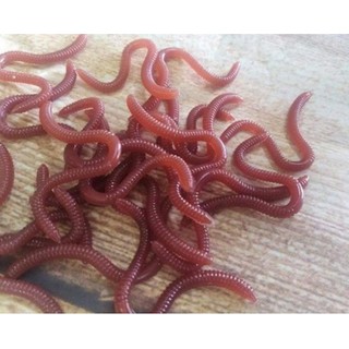 Mồi Giun Giả 3D 1 lọ