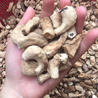 Combo 5kg chân nấm hương khô