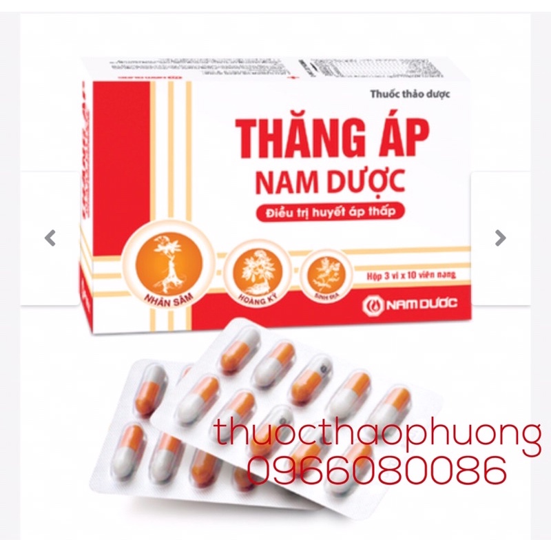 ✅Thăng áp⚡️freeship đơn từ 50k💧thảo dược cho người huyết áp thấp,hay hoa mắt chóng mặt,vã mồ hôi,suy nhược cơ thể,danhơt