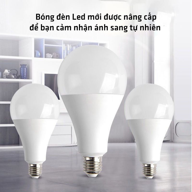 Bóng Đèn Led, Bóng Đèn Tiết Kiệm Điện Siêu Sáng PAPAA.HOME