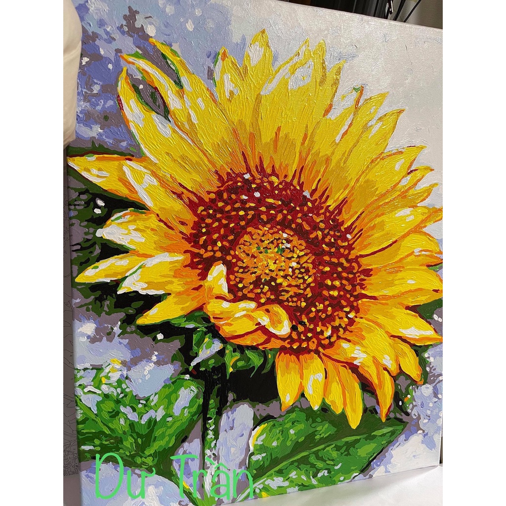 Tranh số hoá 2 bộ màu phong cách tô sần DIY có khung size 40x50