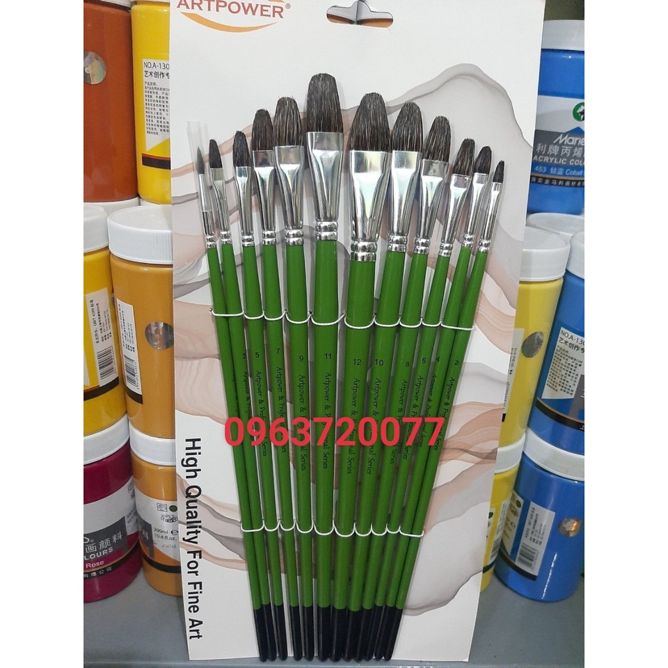 Cọ vẽ cán vàng, Cọ vẽ acrylic, màu nước, sơn dầu (Bộ gồm 12 cây trong đó 11 cây đầu ovanl, 1 cây cọ tỉa )