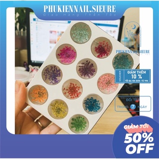 Set Ẩn Gel Hoa Chùm trang trí móng tay