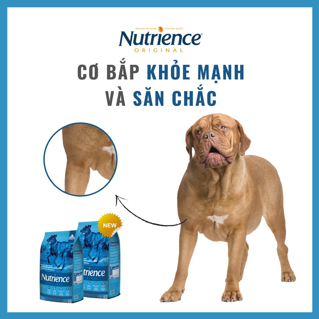 Thức Ăn Khô Cho Chó Malinois Nutrience Original Bao 11,5kg - Thịt Gà, Gạo Lứt, Rau Củ Và Trái Cây Tự Nhiên