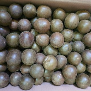 La Hán Quả (10 trái), nấu nước mát giải nhiệt giải khát