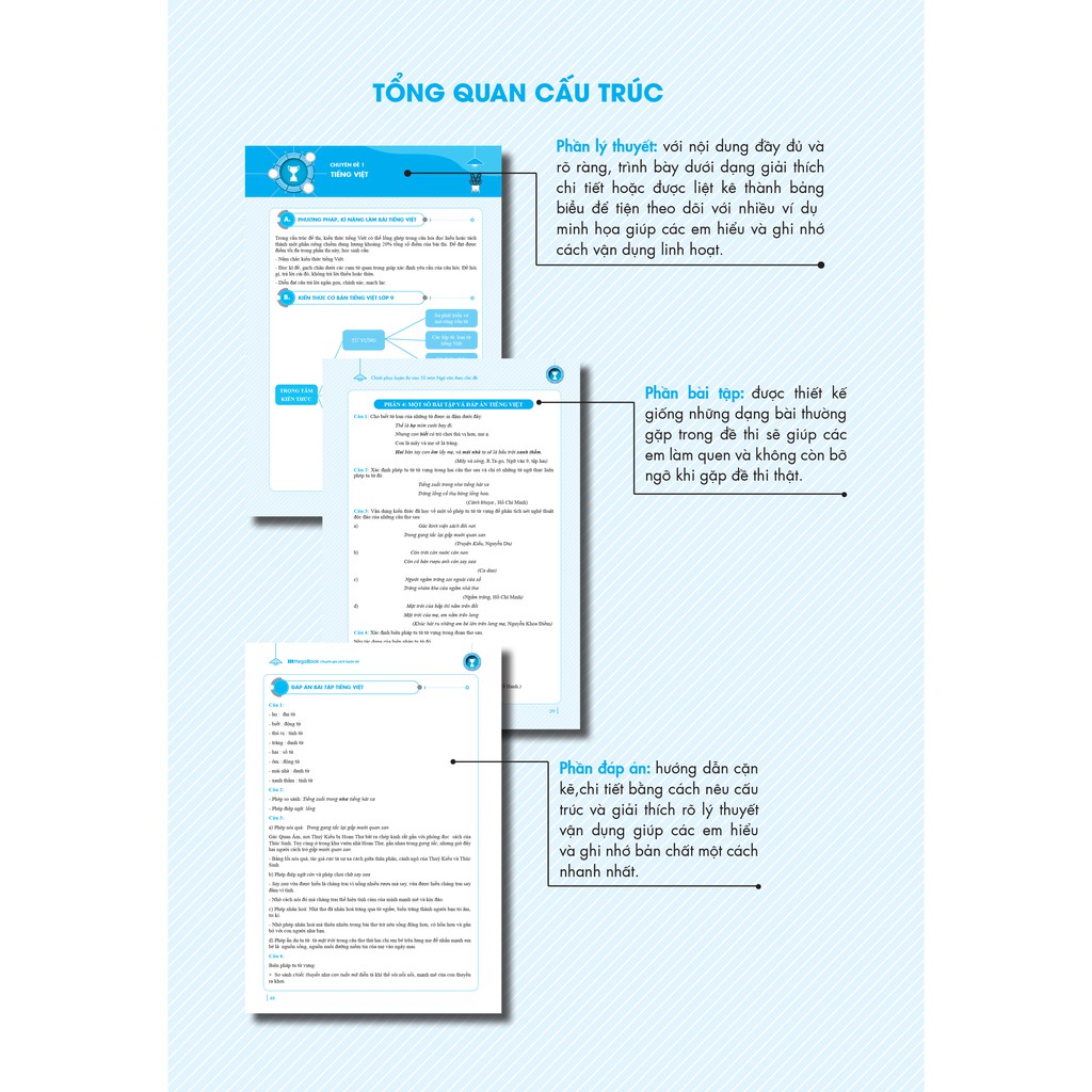 Sách Chinh phục luyện thi vào 10 môn Ngữ Văn theo chủ đề